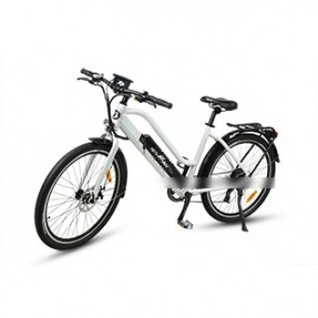 EASYRIDER C7 UNIQUE STYLE CITY BIKE WITH LONG RANGE BIG BATTERY