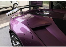 Lamborghini Huracan Carbon fiber Ultra High Performance Rear wing II