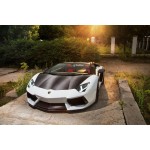 Lamborghini Aventador Carbon Fiber parts