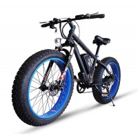 RAMPAGE S19  FAT TYRE ELECTRIC BICYCLE