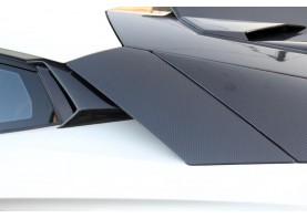 Lamborghini Aventador Carbon Fiber Body kit 