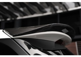Mercedes GLE-Class Wagon W166 Carbon Fiber parts