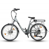 EASYRIDER C5-RR Two wheel Powered City electric bicycle