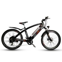 EASYRIDER Q5 500w hub motor hidden battery electric bike