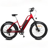 EASYRIDER S50 fashion designed electric bike fat tire model long range ebike