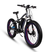 EASYRIDER S29-M Fat tire 8FUN center motor electric bike 