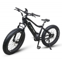 RAMPAGE S30-2 NEW fat tire 1000W mountain electric bike